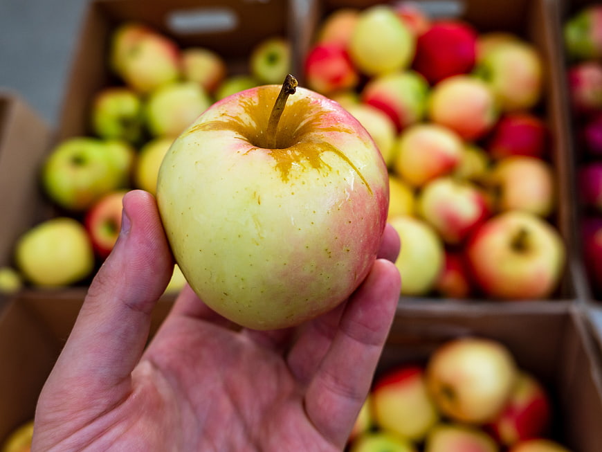 Hand holding fresh apple at farmers market