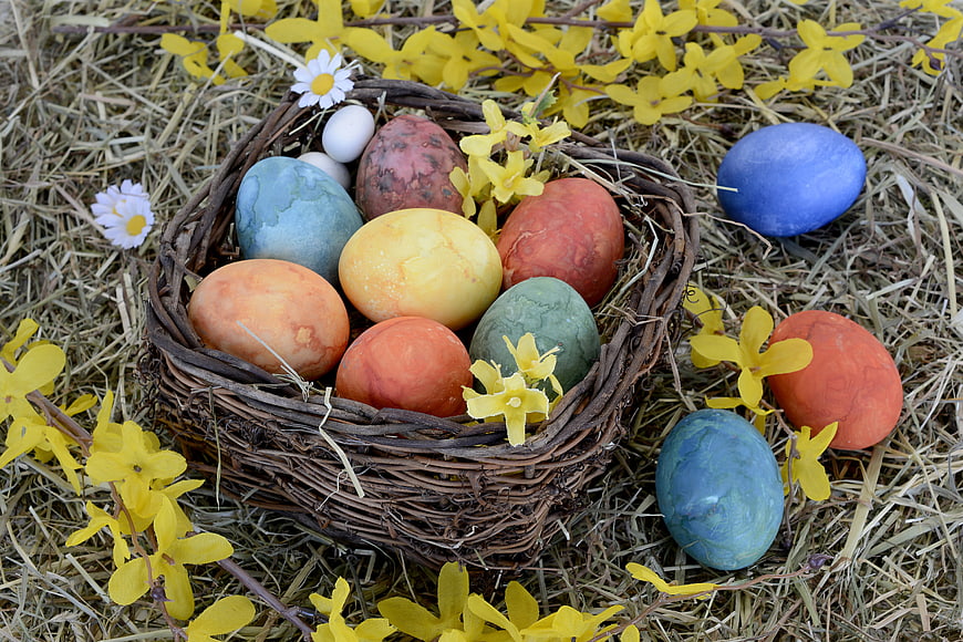 Colorful Easter Eggs in Wicker Nest with Yellow Flowers