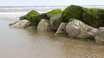 Moss-covered rocks on a sandy beach with ocean waves
