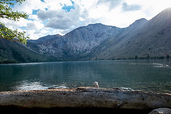 Serene Mountain Lake with Foreground Log and Cloudy Sky