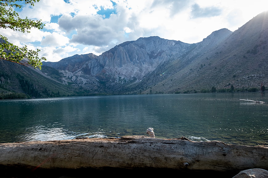 Serene Mountain Lake with Foreground Log and Cloudy Sky