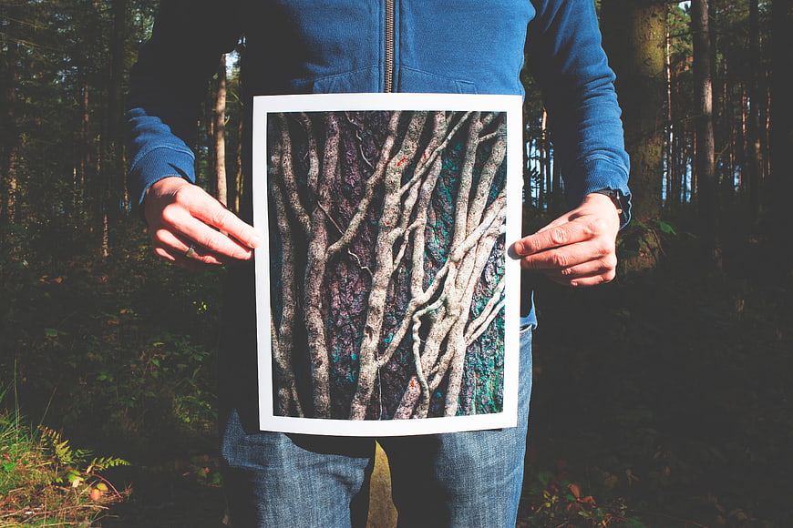 Man holding forest art print in woods