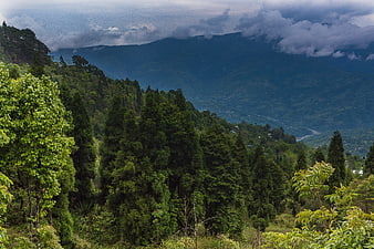 Lush Green Mountain Valley with Clouds and Forest