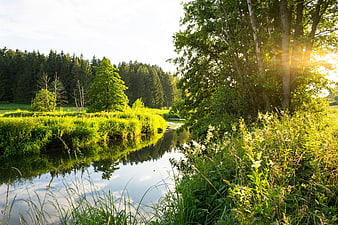 Serene River Landscape with Sunlight Through Trees