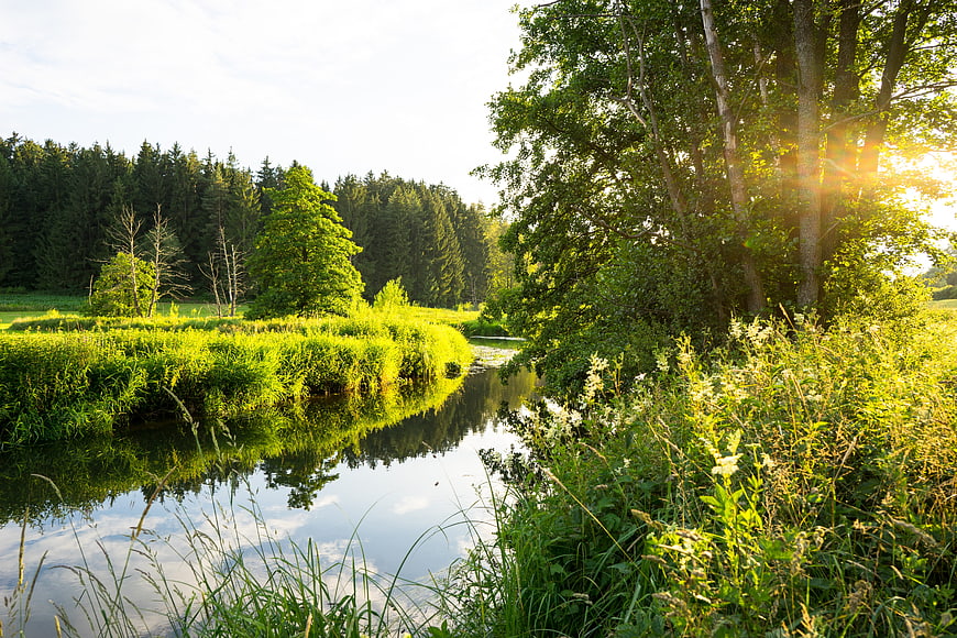 Serene River Landscape with Sunlight Through Trees