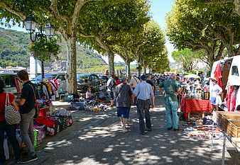 Busy French flea market under tree-lined street