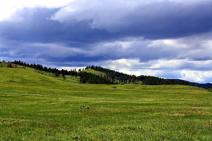 Dramatic cloudy sky over rolling green hills and forest