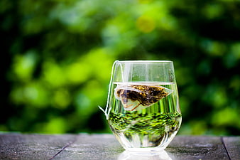 Steaming Green Tea Bag in Glass Cup Outdoors