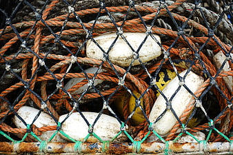 Close-up of tangled fishing nets, ropes, and white floats