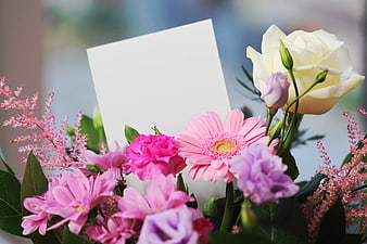 Pink flower bouquet with white rose and blank greeting card