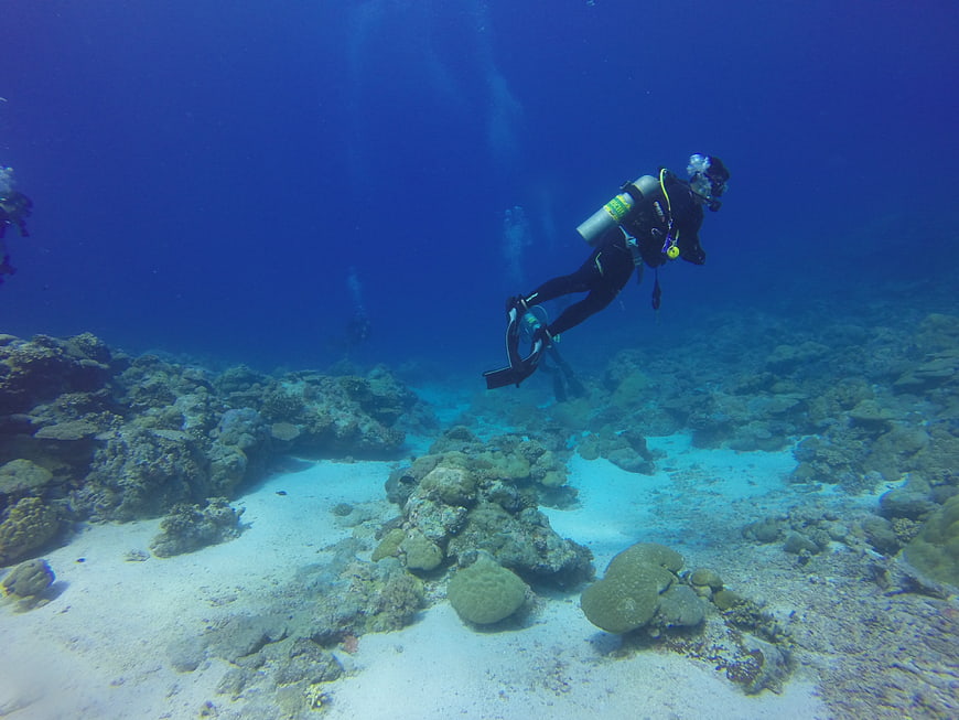 Scuba Diver Exploring Coral Reef Underwater