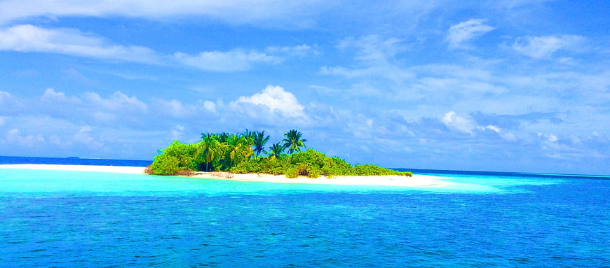 Tropical Island with Palm Trees in Turquoise Ocean