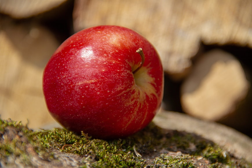 Fresh Red Apple on Mossy Wood Log