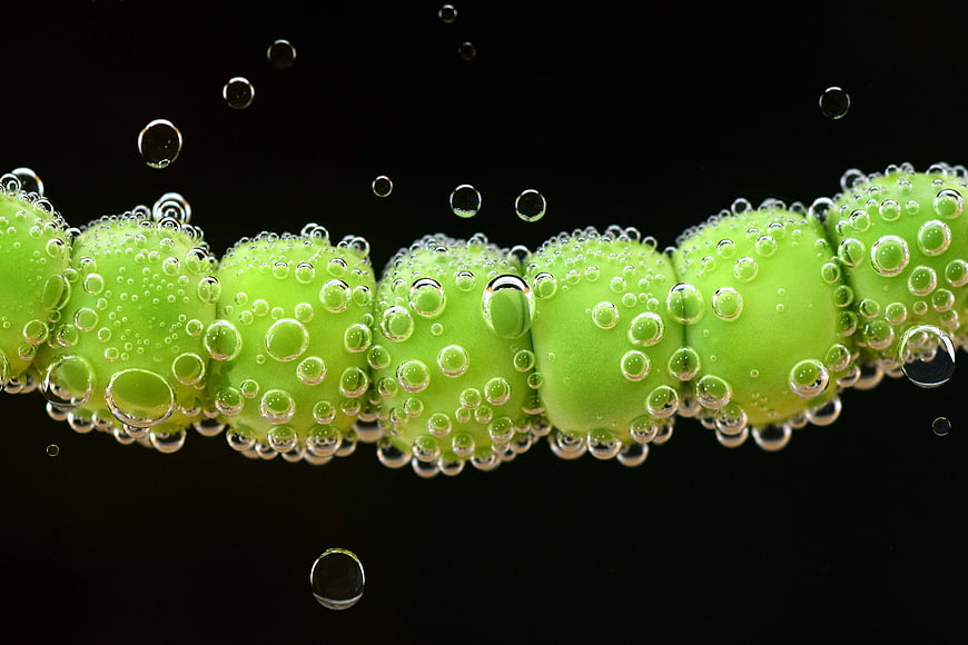 Green Grapes with Water Bubbles on Black Background