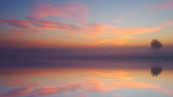 Serene Winter Lake Sunrise With Misty Reflections And Silhouette Tree