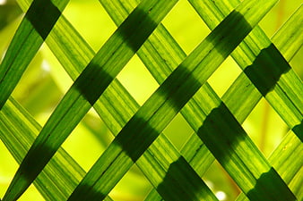 Close-up of green woven palm leaf lattice pattern