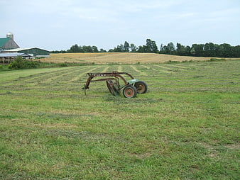 Old rusty hay rake in green field with farm buildings
