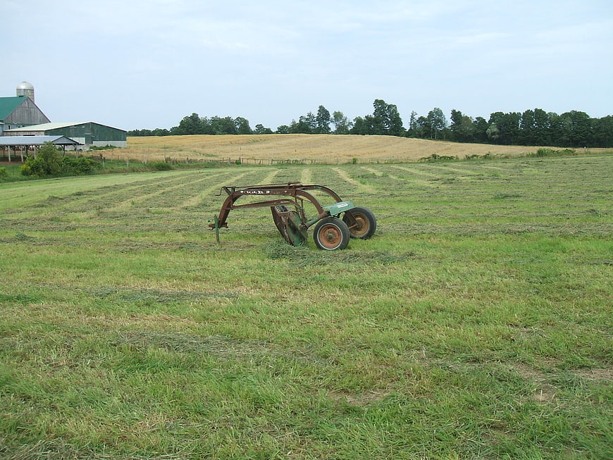 Old rusty hay rake in green field with farm buildings