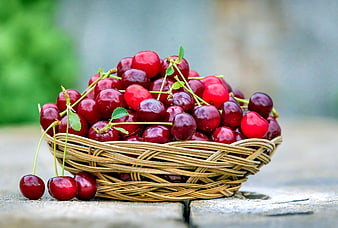 Fresh Ripe Red Cherries in Woven Basket