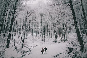 Couple Walking Through Snowy Winter Forest