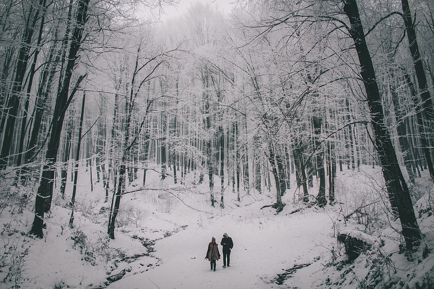 Couple Walking Through Snowy Winter Forest