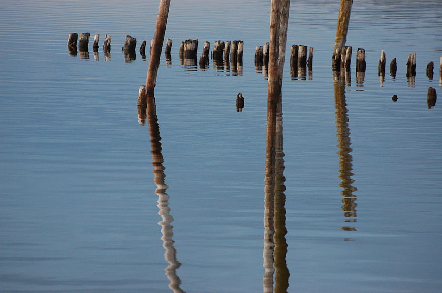 Weathered wooden pilings reflecting in calm blue water