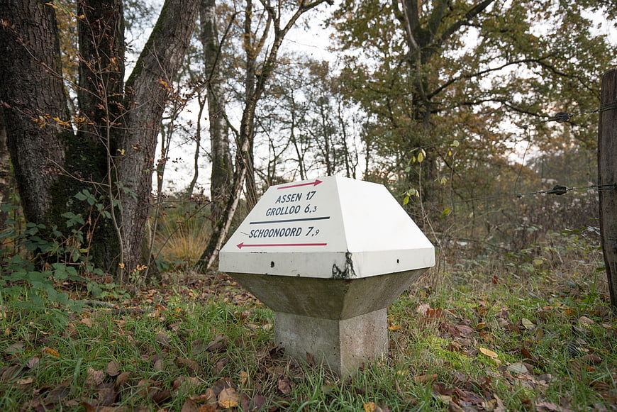 White hiking trail signpost in autumn forest