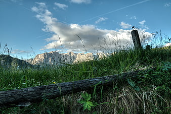 Alpine Meadow with Wooden Fence and Mountain View
