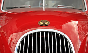 Close-up of red vintage Jaguar car grille and emblem