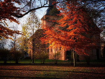 Pink Church Tower Surrounded by Vibrant Autumn Trees