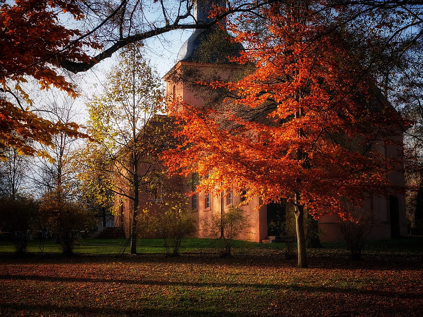 Pink Church Tower Surrounded by Vibrant Autumn Trees