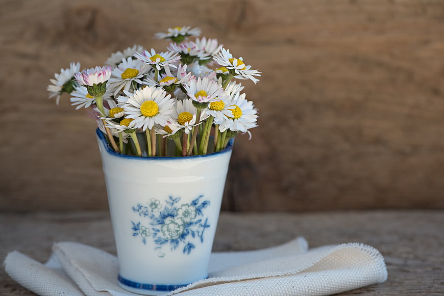 White Daisies in Vintage Blue and White Ceramic Vase