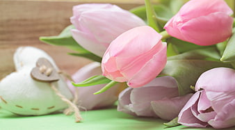 Pink Tulips and Wooden Heart on Green Background