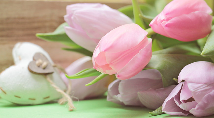 Pink Tulips and Wooden Heart on Green Background