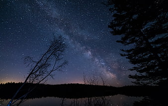 Milky Way Galaxy Over Lake With Silhouetted Trees