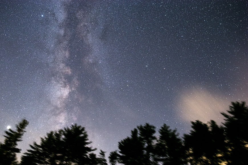 Milky Way Galaxy Over Silhouetted Pine Trees at Night