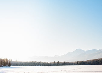 Serene Winter Landscape with Snowy Forest and Mountains