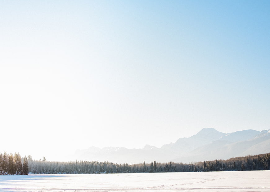 Serene Winter Landscape with Snowy Forest and Mountains