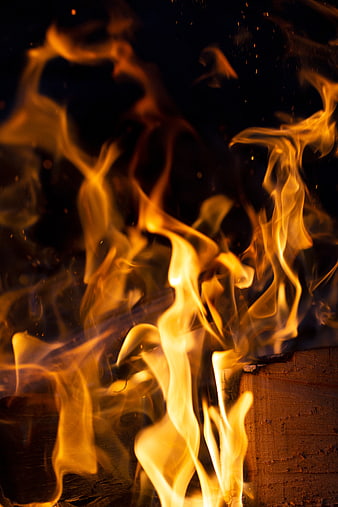 Close-up of vibrant orange campfire flames on wood