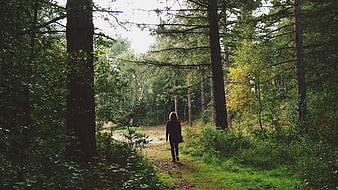 Man Walking On A Forest Path In A Green Pine Wood