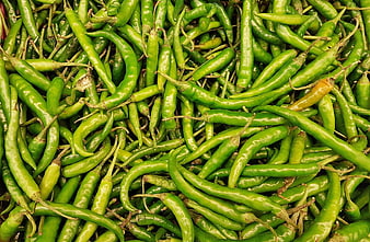 Fresh Green Chili Peppers Pile Close Up