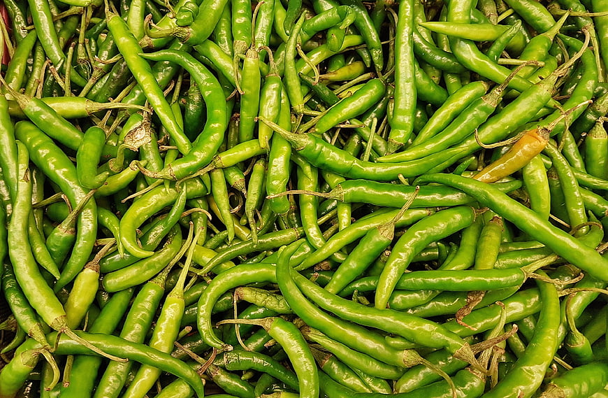 Fresh Green Chili Peppers Pile Close Up