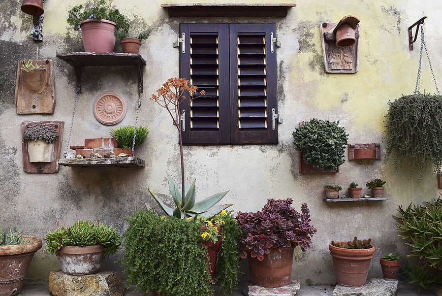 Rustic Mediterranean Wall with Potted Succulents and Shutters