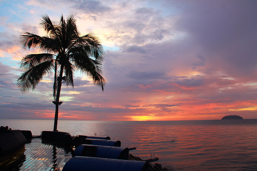 Silhouette of Palm Tree on Floating Dock at Sunset
