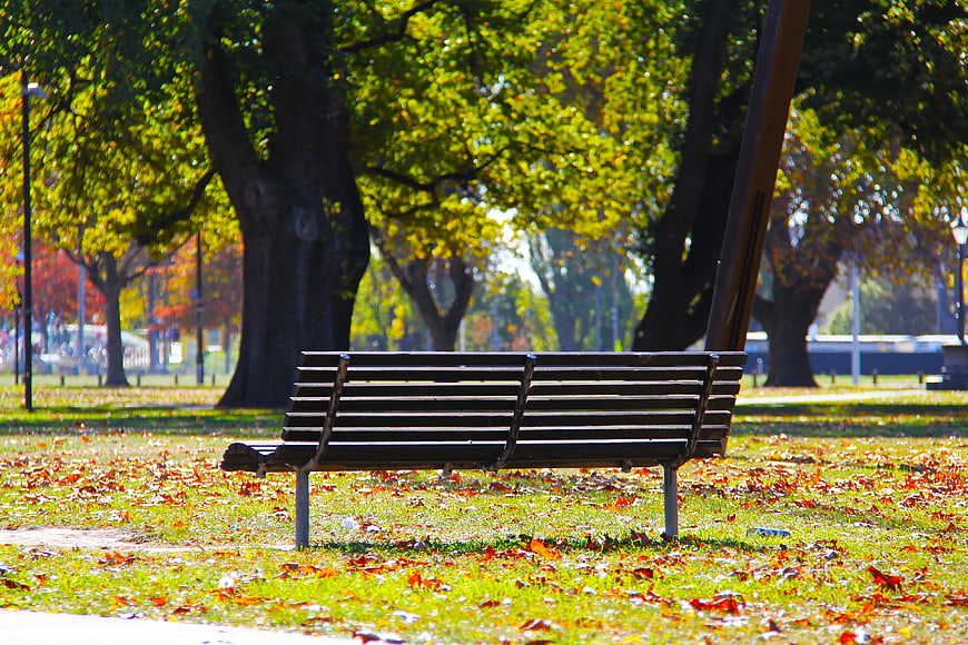 Empty Park Bench in Autumn with Fallen Leaves