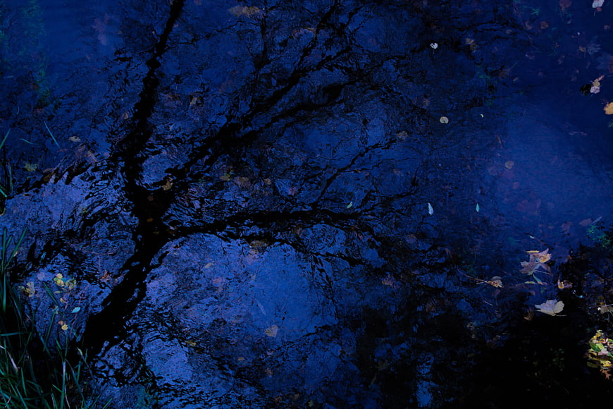 Dark blue water reflection of tree branches with autumn leaves