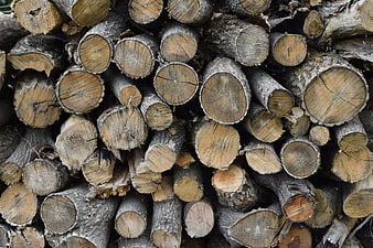 Stacked firewood logs with natural wood grain texture