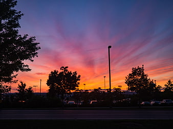 Vibrant Sunset Sky Over Silhouetted Trees and Parking Lot