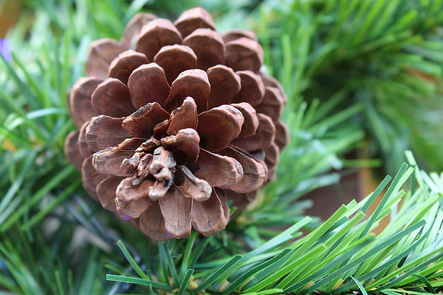 Close-up of brown pine cone on green artificial pine needles