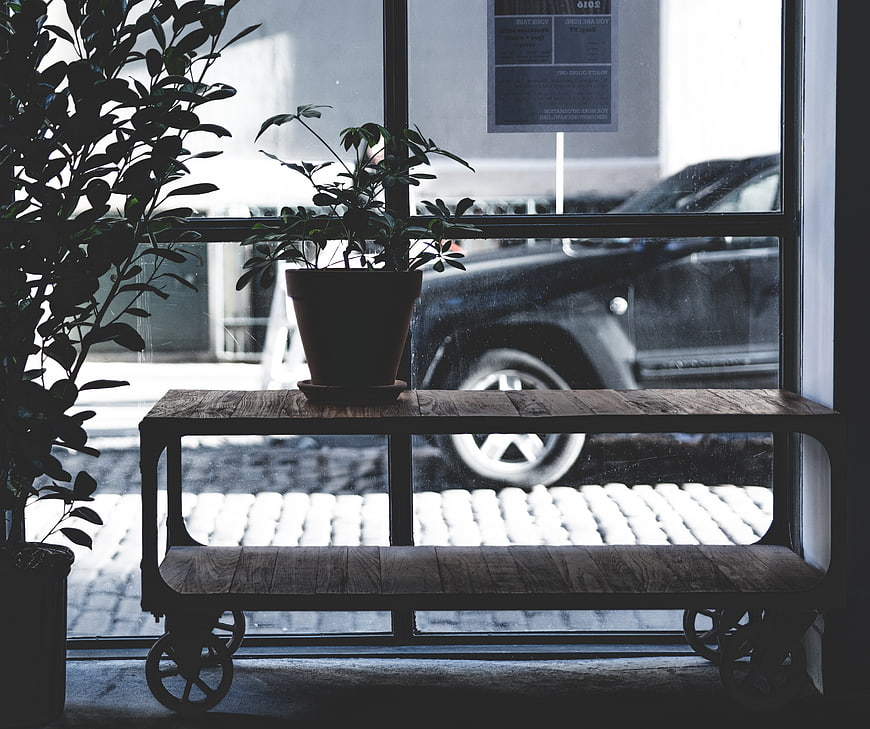 Rustic wooden shelf with plant by window